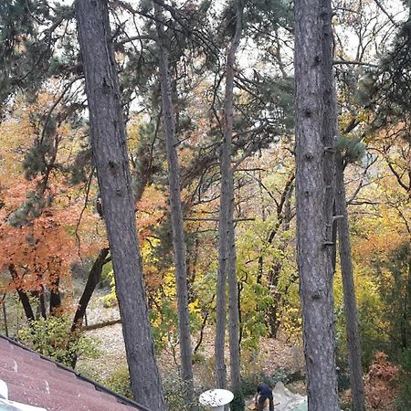 Berg Toboz Panzio Hotel Pecs Luaran gambar