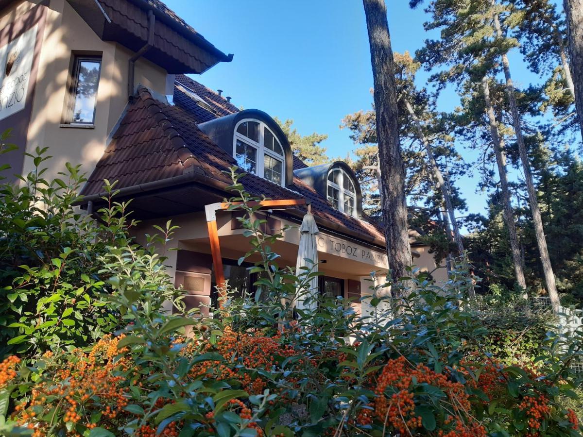 Berg Toboz Panzio Hotel Pecs Luaran gambar