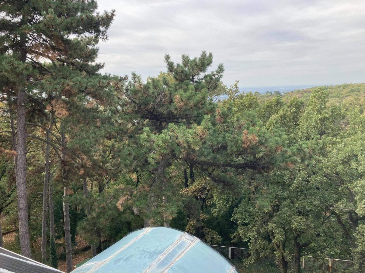 Berg Toboz Panzio Hotel Pecs Luaran gambar