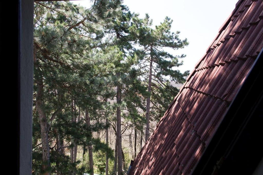 Berg Toboz Panzio Hotel Pecs Bilik gambar