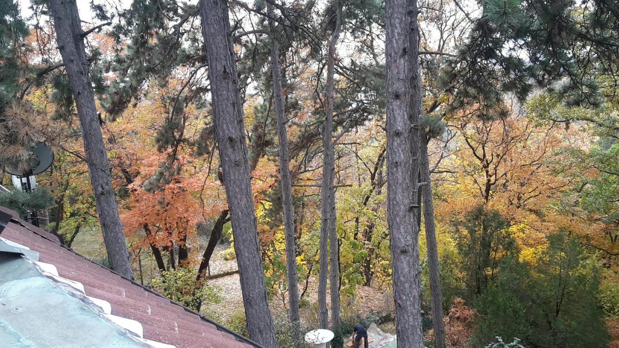 Berg Toboz Panzio Hotel Pecs Luaran gambar