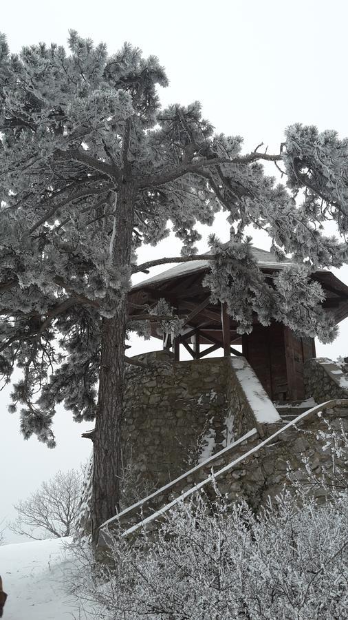 Berg Toboz Panzio Hotel Pecs Luaran gambar